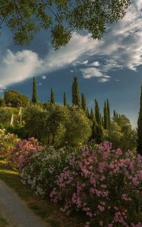 Leccino: Extérieur, Extérieurs, Jardin, Vues