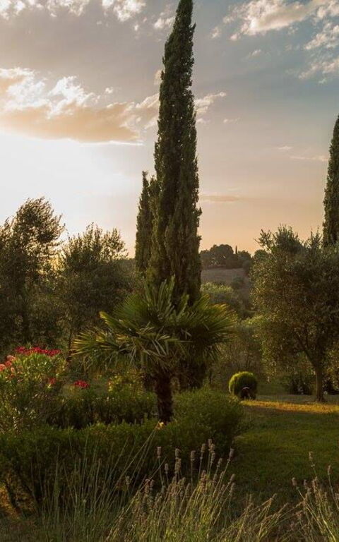 Leccino: Extérieur, Extérieurs, Vues