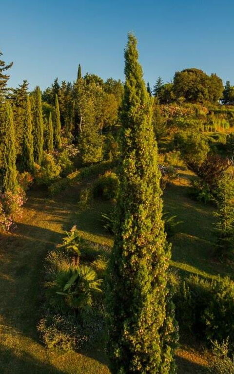 Leccino: Extérieur, Extérieurs, Vues