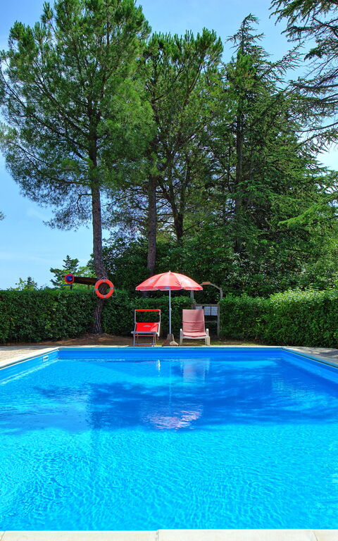 Leccino: bassin, Extérieur, Jardin