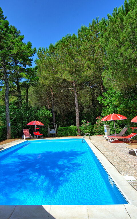 Leccino: bassin, Extérieur, Jardin