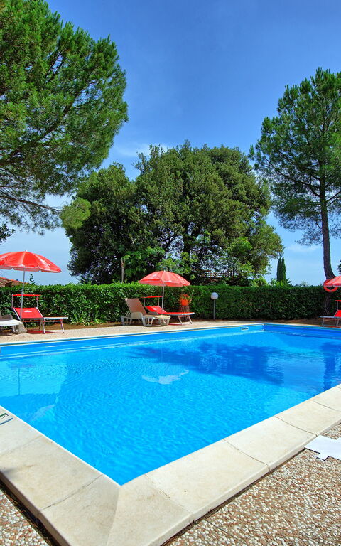 Leccino: bassin, Extérieur, Jardin