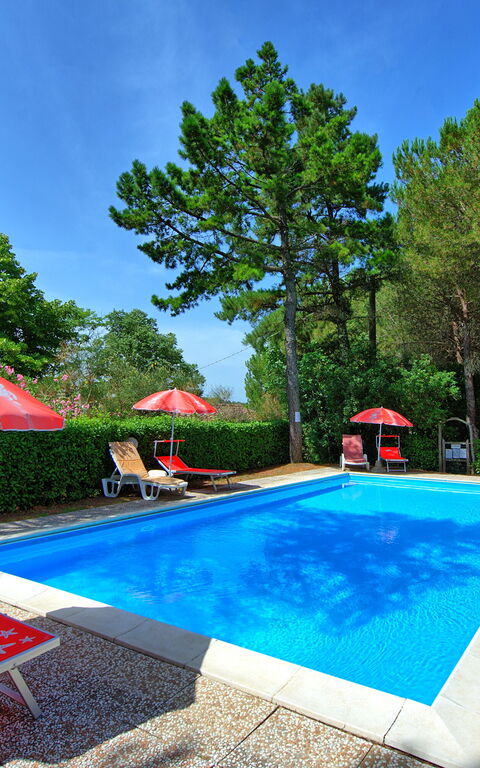 Leccino: bassin, Extérieur, Jardin