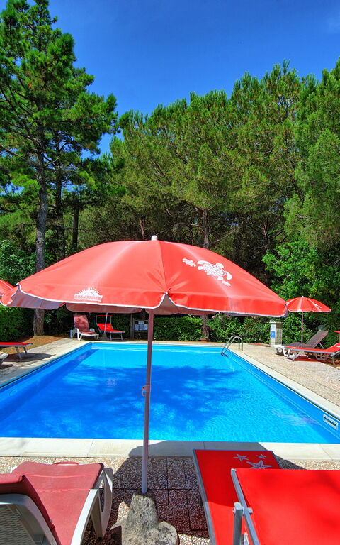 Leccino: bassin, Extérieur, Jardin