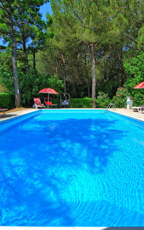 Leccino: bassin, Extérieur, Jardin