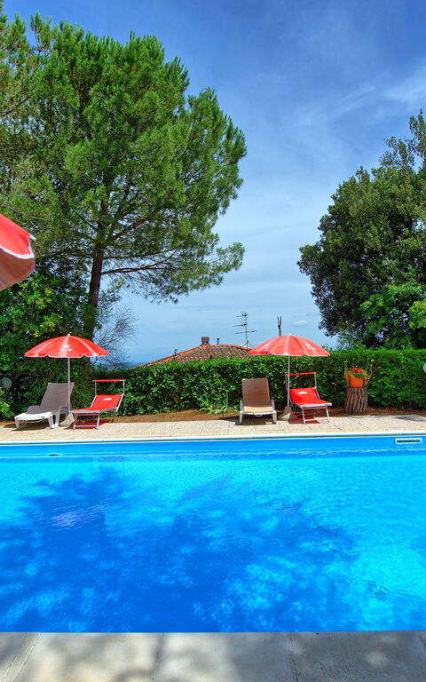 Leccino: bassin, Extérieur, Jardin