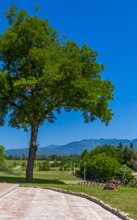 Le Fornaci: Entrée principale, Extérieur, Extérieurs, Vues