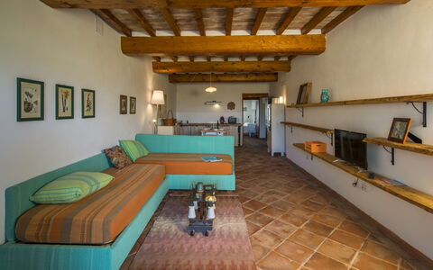 Logement Lollo: Salon