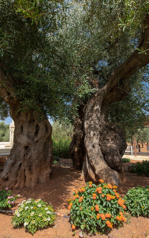 Terra Mater: Extérieur, Extérieurs