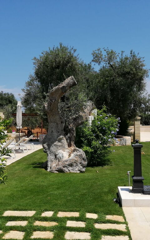 Terra Mater: Extérieur, Extérieurs, Jardin