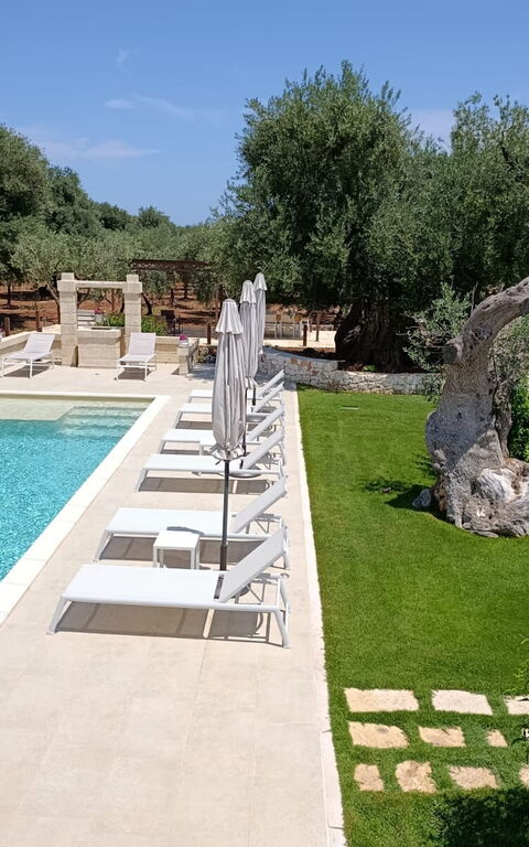 Terra Mater: bassin, Extérieur, Extérieurs, Jardin