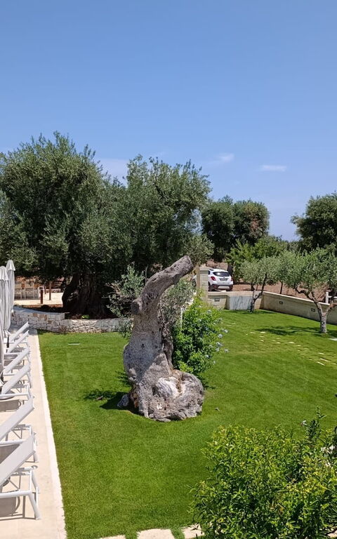 Terra Mater: bassin, Extérieur, Extérieurs, Jardin