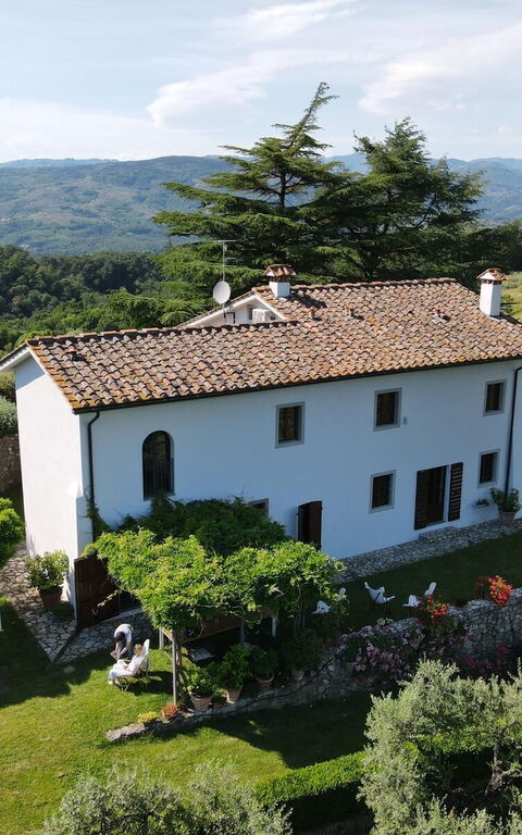 Villa Mami: Extérieur, Extérieurs, Jardin, Vues