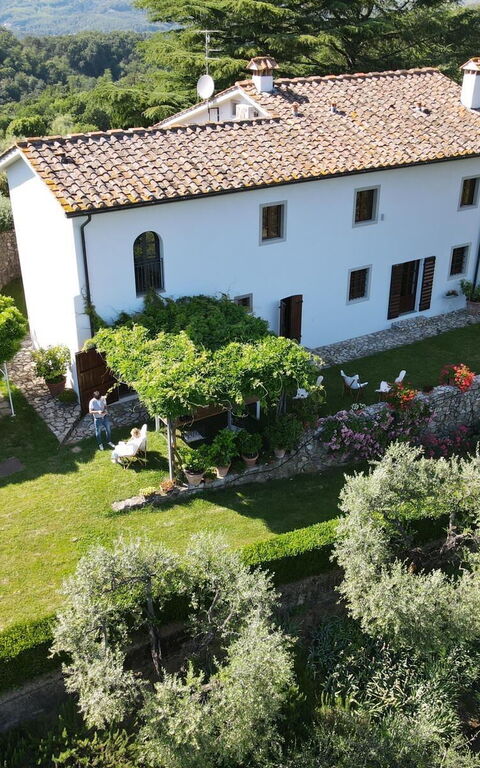 Villa Mami: Extérieur, Extérieurs, Jardin, Vues