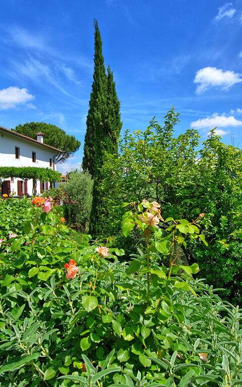 Villa Mami: Extérieur, Jardin