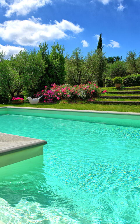 Villa Mami: bassin, Extérieur