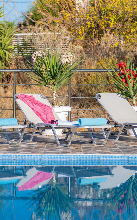 Villa Rose: bassin, Extérieur, Extérieurs