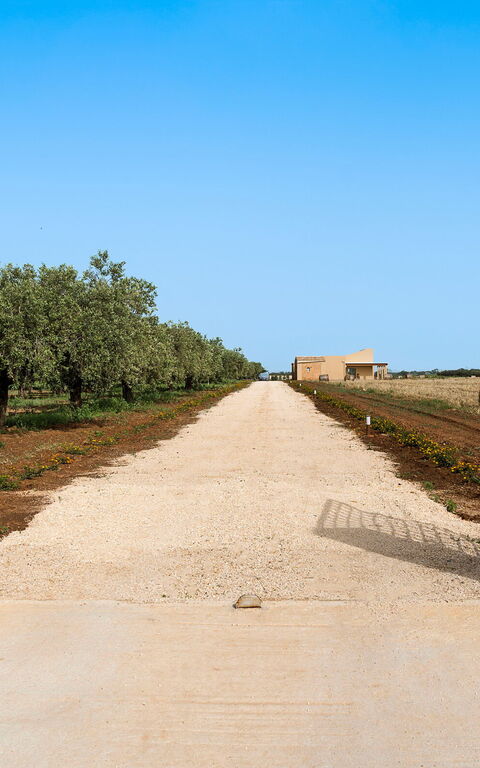 Villa Cavalè: Entrée principale, Extérieur, Extérieurs