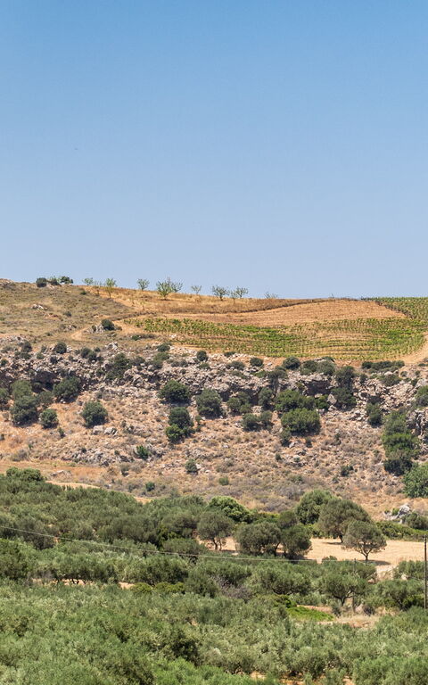 Villa Aetheria: Vues