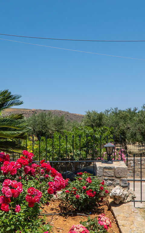 Villa Aetheria: Extérieur, Extérieurs