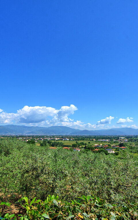 Villa Marusca: Extérieur, Extérieurs