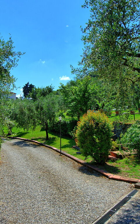 Villa Marusca: Extérieur, Extérieurs