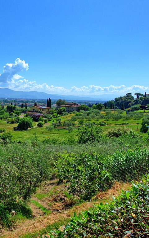 Villa Marusca: Extérieur, Extérieurs, Vues