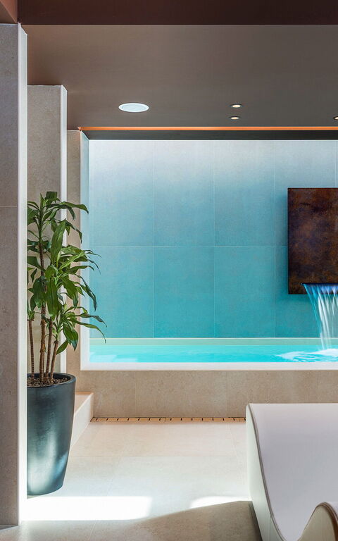 Villa Castalia: bassin, Bien-être, jacuzzi