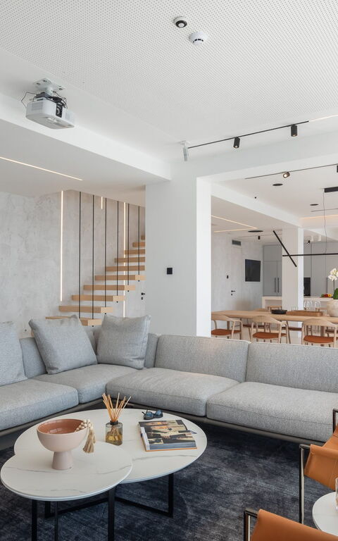 Villa Olive Vista 2: Salon