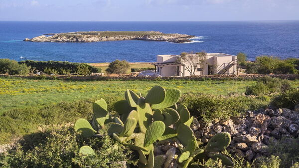 Tenuta Stornello: Extérieur, Extérieurs, Jardin, Vues