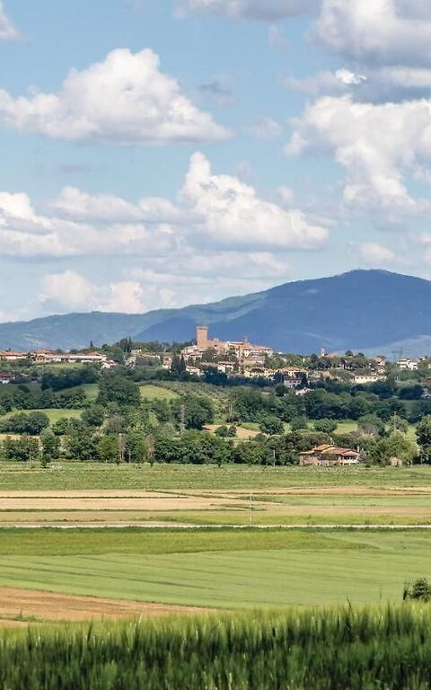 Villa Il Pozzo: Vues