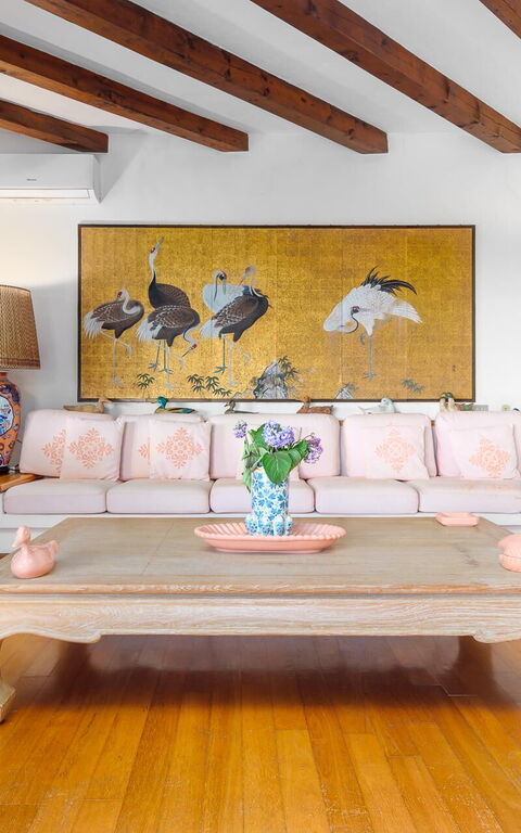 Villa Silenis: Salon