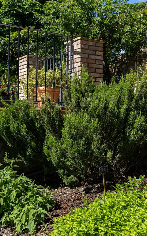 Tenuta Macericca: Extérieur, Extérieurs