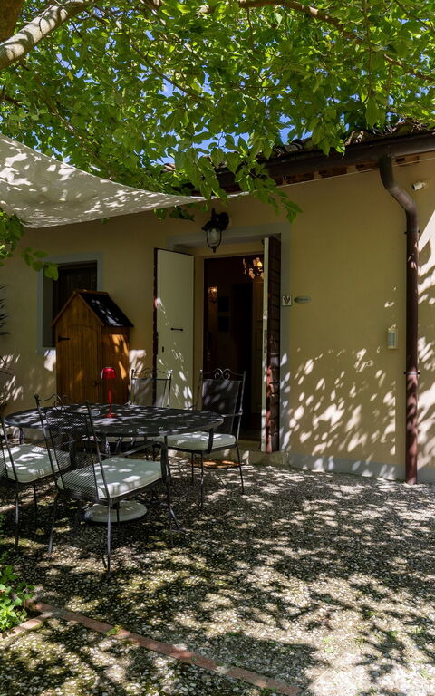 Villanova Lonciano - 2026: Extérieur, Extérieurs, Jardin