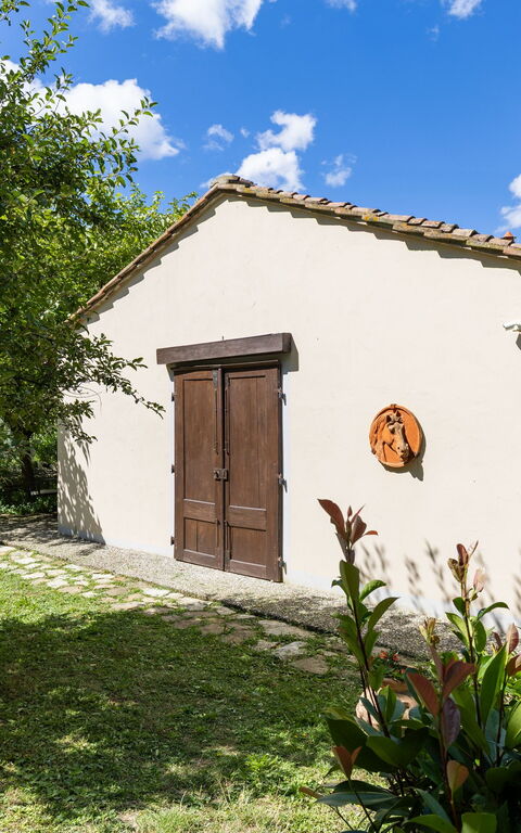 Villanova Lonciano - 2026: Extérieur, Extérieurs, Jardin