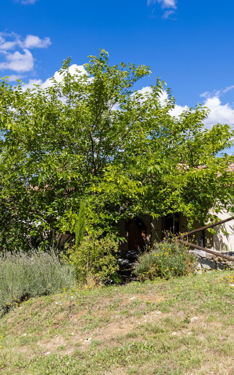 Villanova Lonciano - 2026: Extérieur, Extérieurs, Jardin