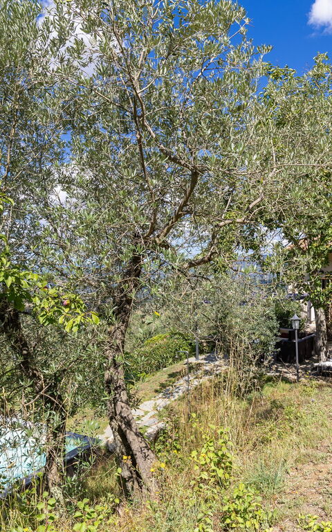 Villanova Lonciano - 2026: Extérieur, Extérieurs, Jardin