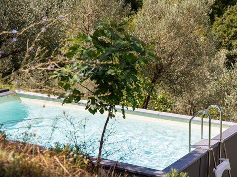 Villanova Lonciano - 2026