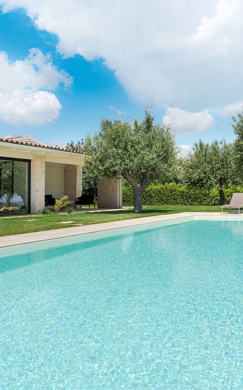 Netina Domus: bassin, Extérieur