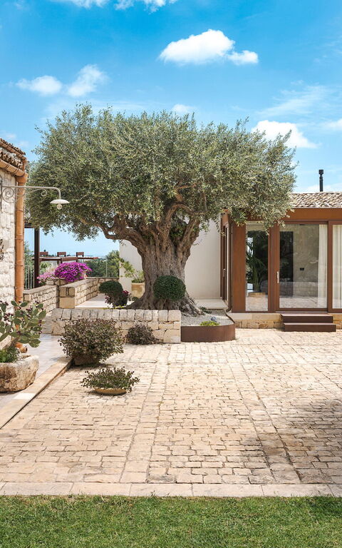 Corte Antigua: Balcon / Terrasse / Patio, Extérieur, Extérieurs