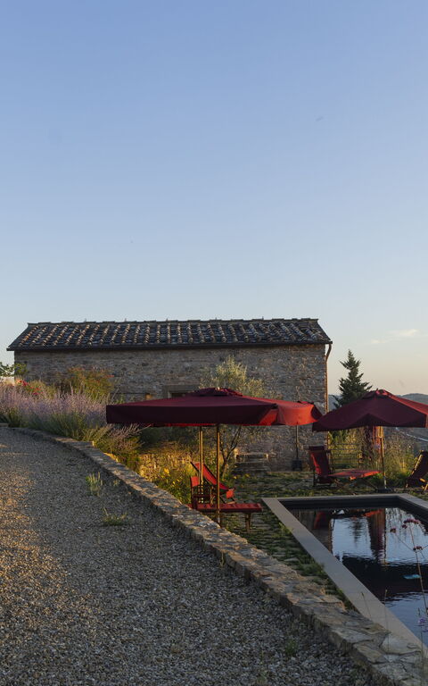 Villa Tenuta Casenuove: bassin, Extérieur, Extérieurs, Jardin, Vues