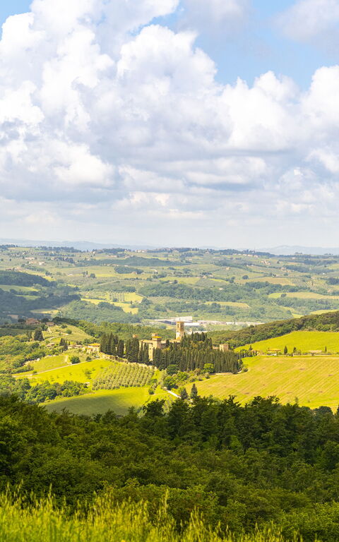 Villa Tenuta Casenuove: Vues