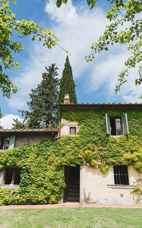 Podere Lupinati: Extérieur, Extérieurs