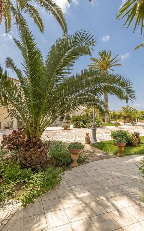 Villa Oasi Di Pace: Extérieur, Extérieurs