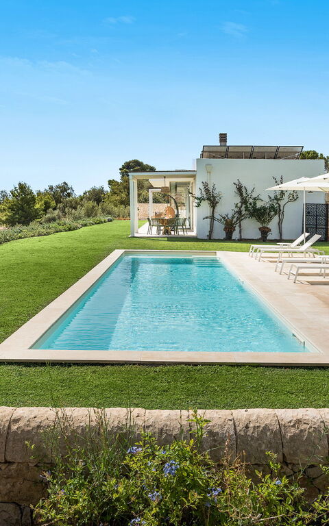 Villa Petite Afrique: bassin, Extérieur, Extérieurs, Jardin