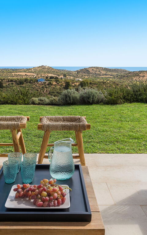 Villa Petite Afrique: Extérieur, Extérieurs, Jardin