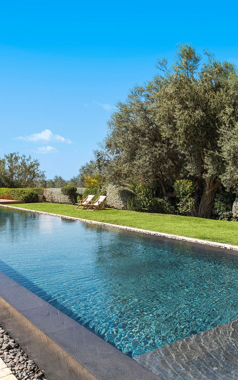 Domus Olivae: bassin, Extérieur, Extérieurs, Jardin