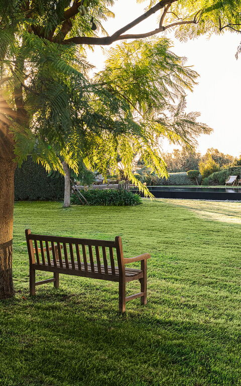 Domus Olivae: Extérieur, Extérieurs, Jardin