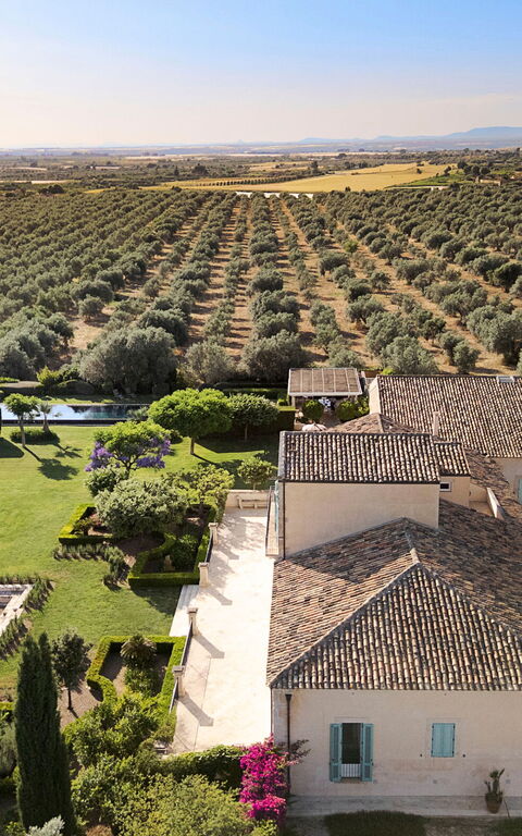 Domus Olivae: Jardin