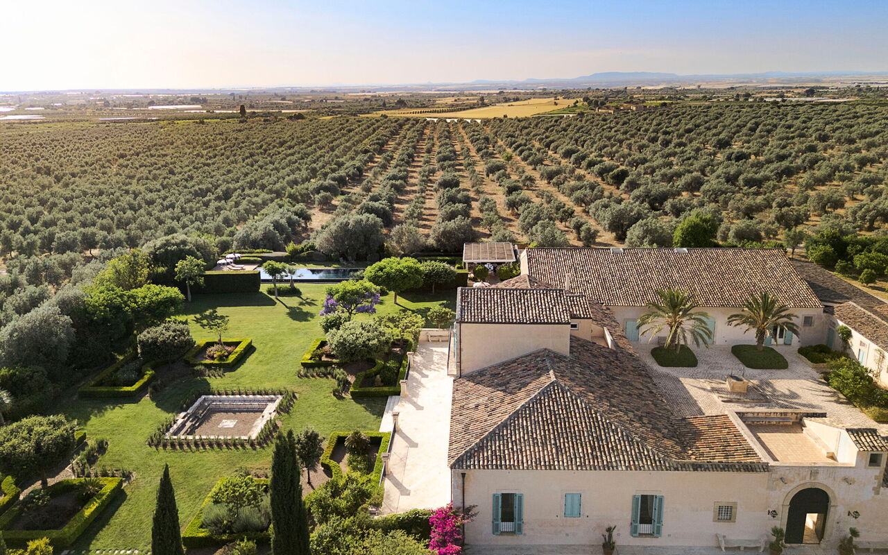 Domus Olivae: Jardin